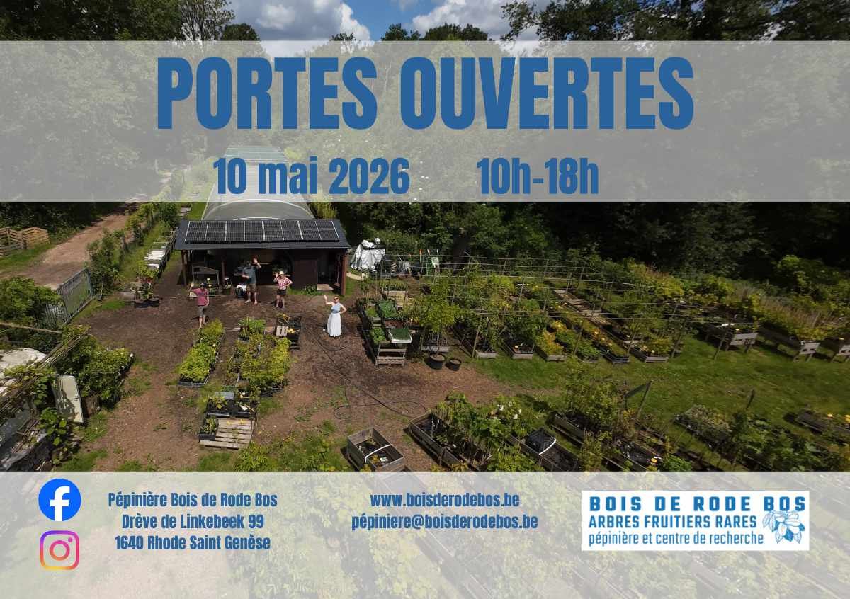 Bois de Rode Bos