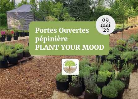 Plant Your Mood