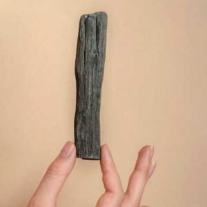 Baton Charbon Binchotan Certifie Wakayama (taille M)